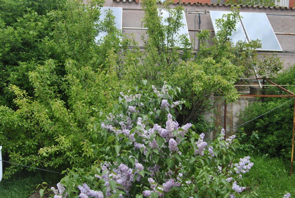 La Posada De Castrojeriz Buitenkant foto